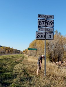 Dizzy after the stunningly beautiful drive through the Little Belt Mountains
